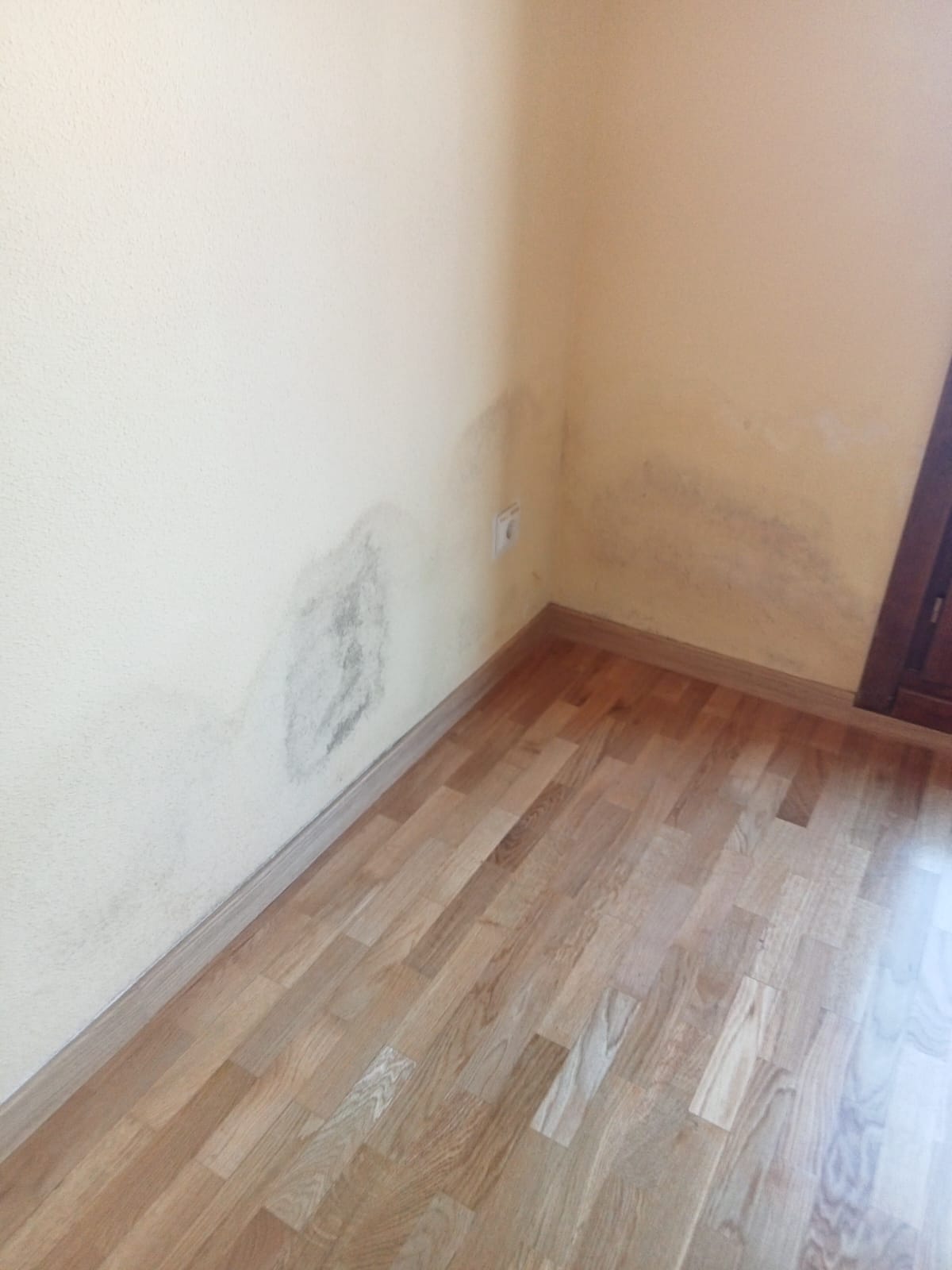 pared habitación antes